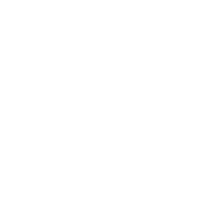 Opciones de empaque peanuts bubble wrap